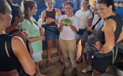 Unlock Transformative Experiences with VN Social Justice Center’s Internship Program in Upala, Costa Rica
