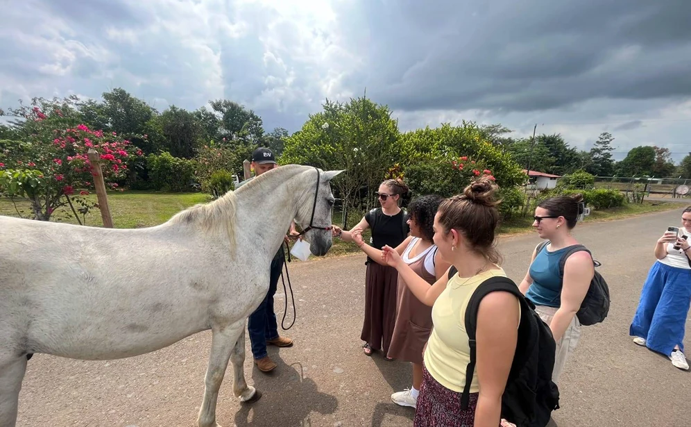 VN Center Location - pic 1